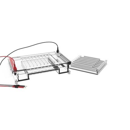 horisontell elektroforescell med hög genomströmning
