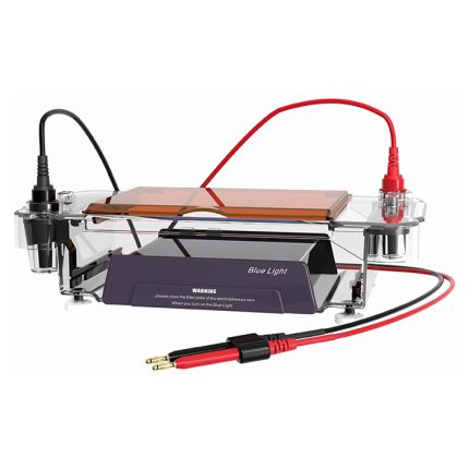 horisontell elektroforescell med blåljusbelysning