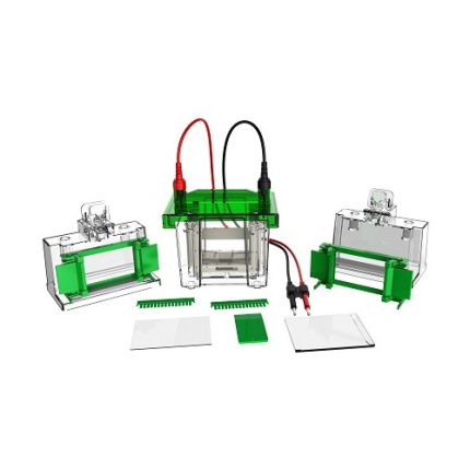 vertikal elektroforescell i miniformat